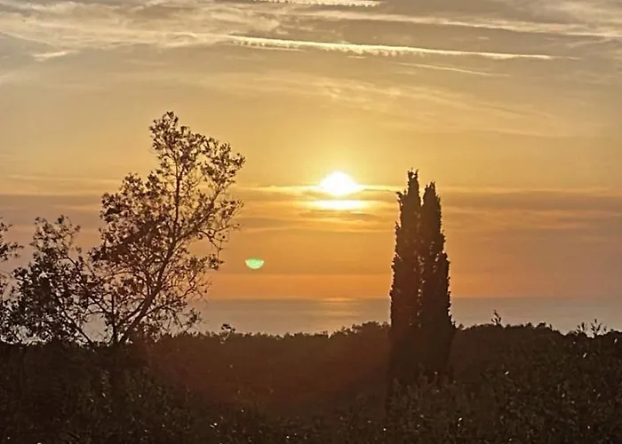 Villa Maria 1